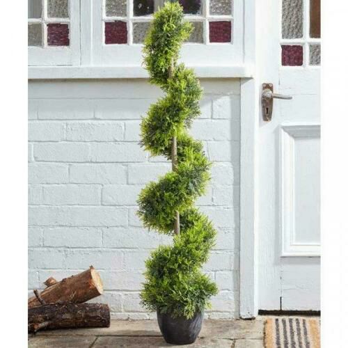 Cypress Topiary Twirl Timbermills